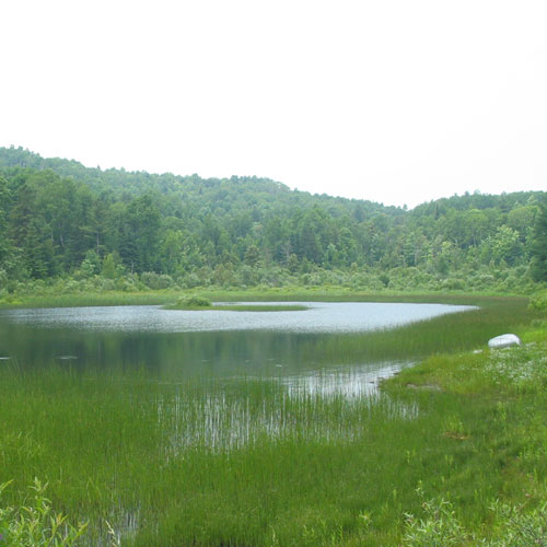 An image entitled "Strong Pond."